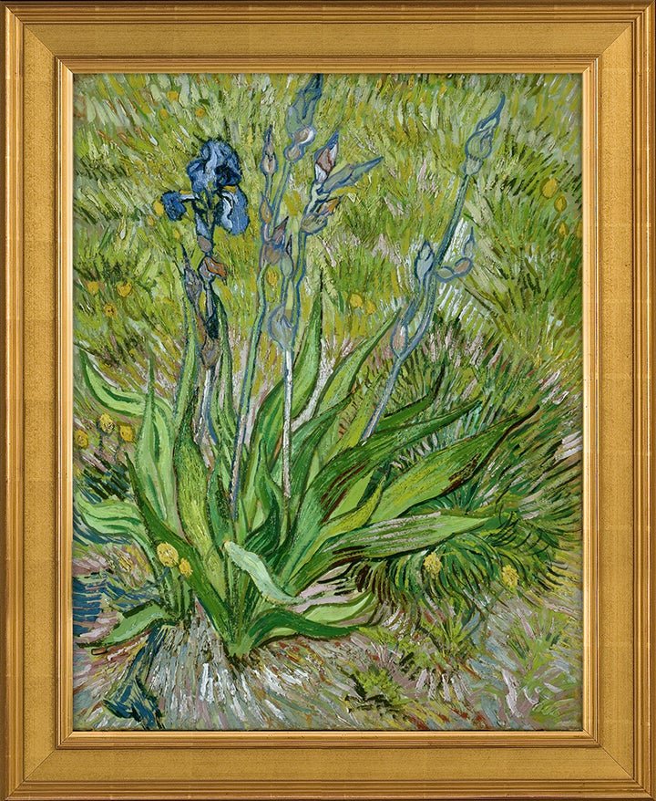 Arius reproduction of Van Gogh's The Iris 
