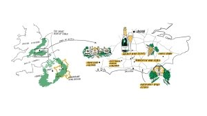 Vineyard map illustration
