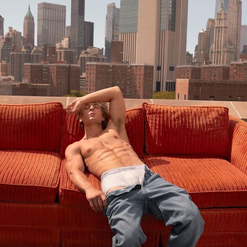 Pink Sofa From Jeremy Allen White’s Calvin Klein Advert Is Up for Grabs – Completely Free!