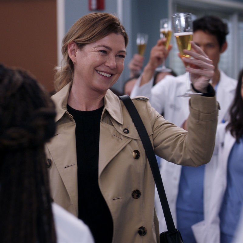 The Enduring Attraction of Meredith Gray and Why Gray’s Anatomy is so Standard