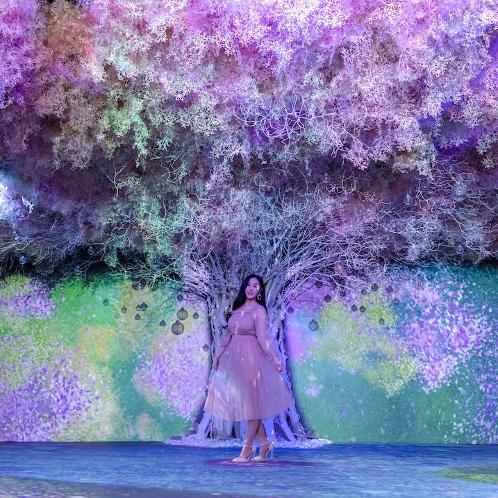 Japan’s Bare Flowers Interactive Artwork Exhibition is Blooming in Hongkong This April